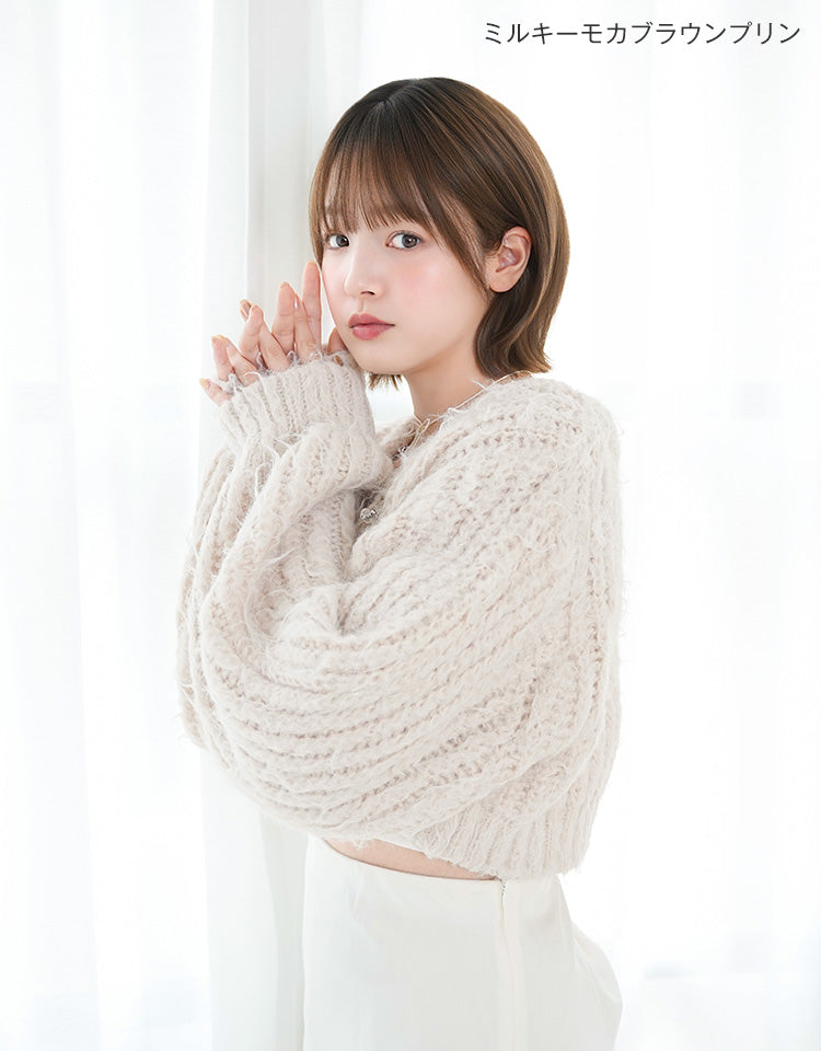 モデル画像-ミルキーモカブラウンプリン