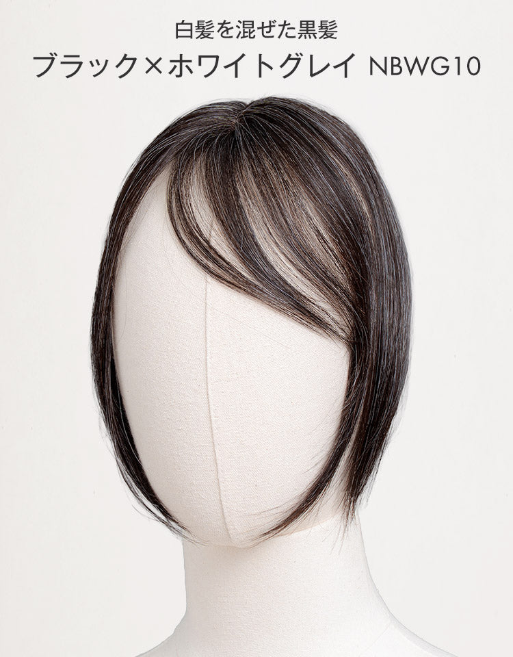 白髪を混ぜた黒髪 ブラック×ホワイトグレイ