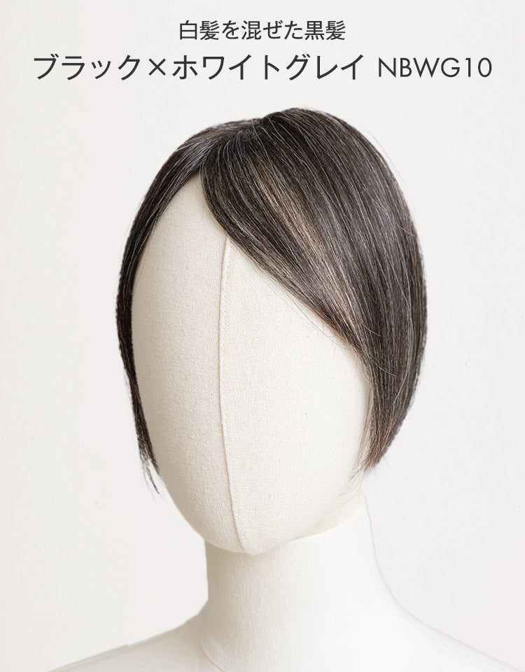 白髪を混ぜた黒髪 ブラック×ホワイトグレイ NBWG10