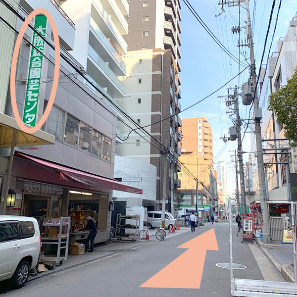 左手に大阪総合園芸センターもありますがここもそのまま過ぎましょう。