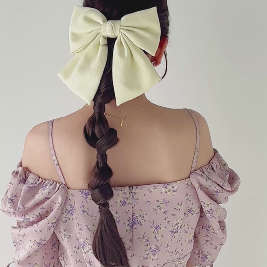 ブリッジポニーテール 編みおろしアレンジ スタイル動画