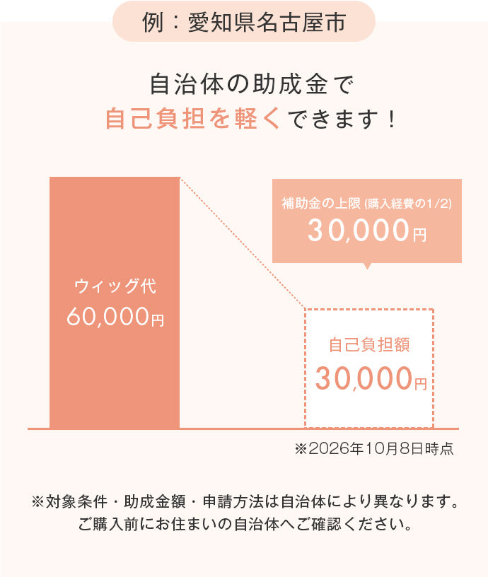 助成金の例