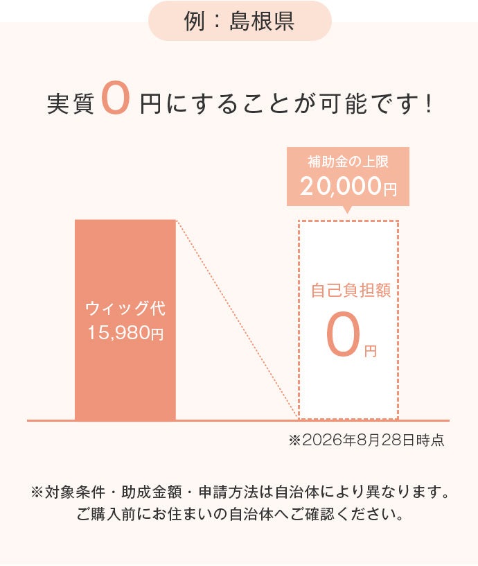 助成金の例