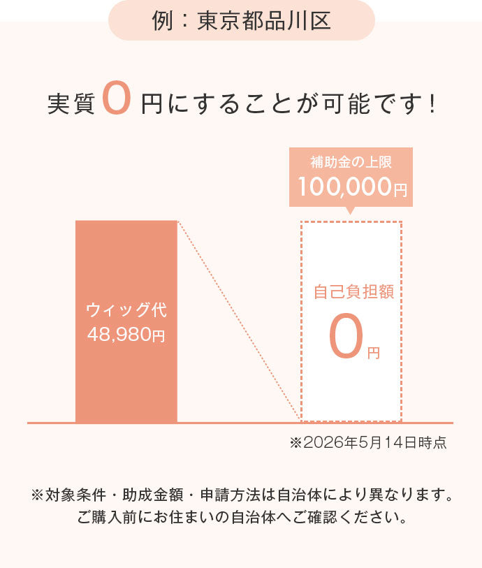 助成金の例